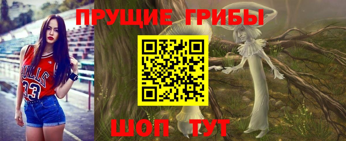 Галлюциногенные грибы GOLDEN TEACHER Междуреченск