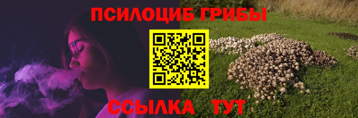Междуреченск  Галлюциногенные грибы Psilocybine cubensis  Вход с VPN  Псилоцибиновые грибы прущие грибы 
